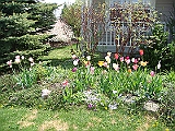 13 Nancy's Garden [2009 May 10]